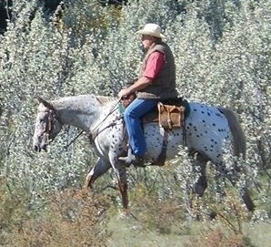 Joe Rybinski on Horse in nature