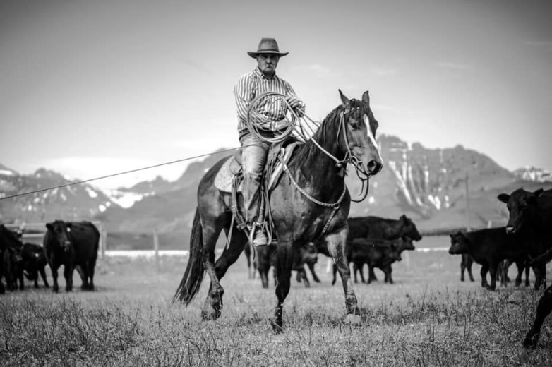 Dustin Sippola SEE Trainer