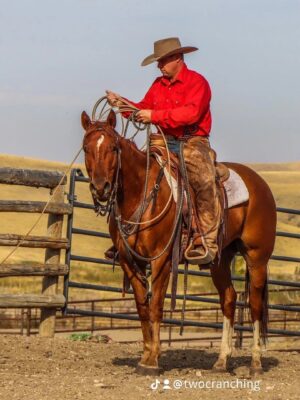 Featured Trainer of the 2023 Trainer Challenge Craig Reesor announced for the Saskatchewan Equine Expo