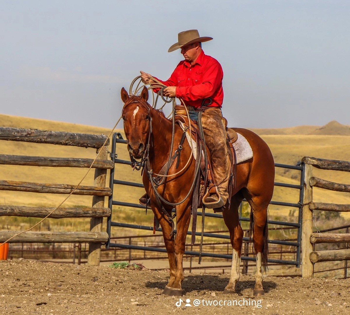 Featured Trainer of the 2023 Trainer Challenge Craig Reesor announced for the Saskatchewan Equine Expo