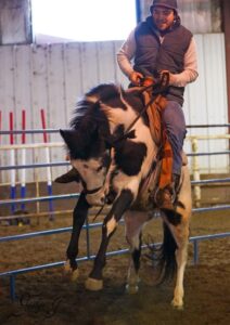 Dusty Harvey Featured Trainer at the 2023 Saskatchewan Equine Expo for the Trainer Challenge